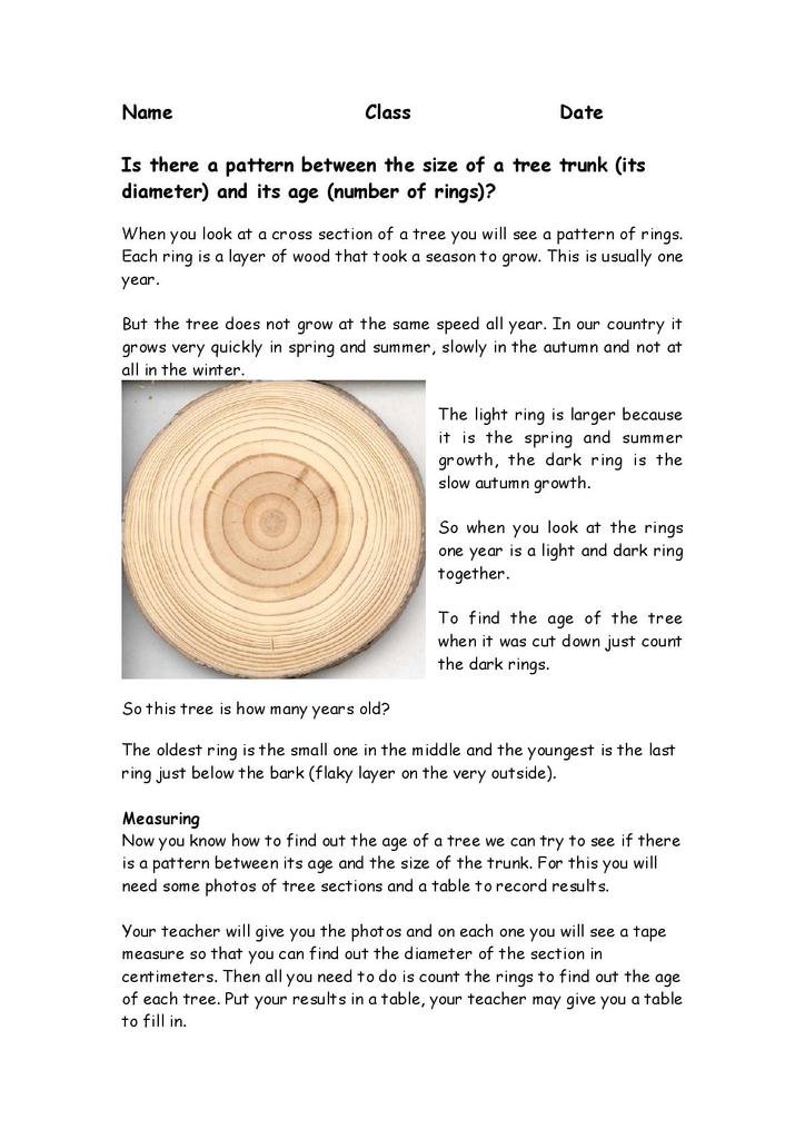 Tree rings | STEM